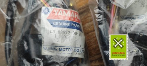 IMG_20230827_122652